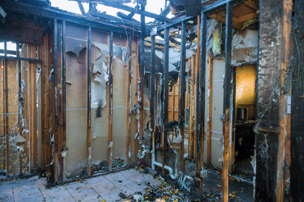 Professional Fire Damage Removal technician working in Huntingdon Valley, PA